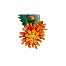 Konstruktorius - LEGO Icons 10368 Chrysanthemum 278 dalių