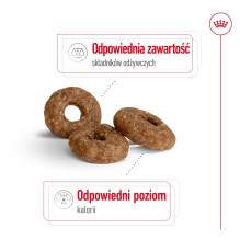 ROYAL CANIN Mini Aging Adult +12 - sausas šunų maistas - 3,5 kg