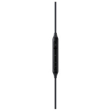 Ausinės Samsung AKG EO-IC100BBEGEU Type-C juodos