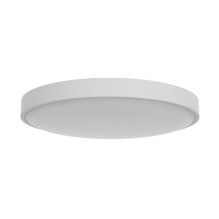 Yeelight Ceiling Light C2001C550