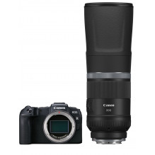 Canon EOS RP + RF 800mm f/ 11 IS STM