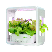 SmartPot aspara by GrowGreen Stylist Lite Smart Grower