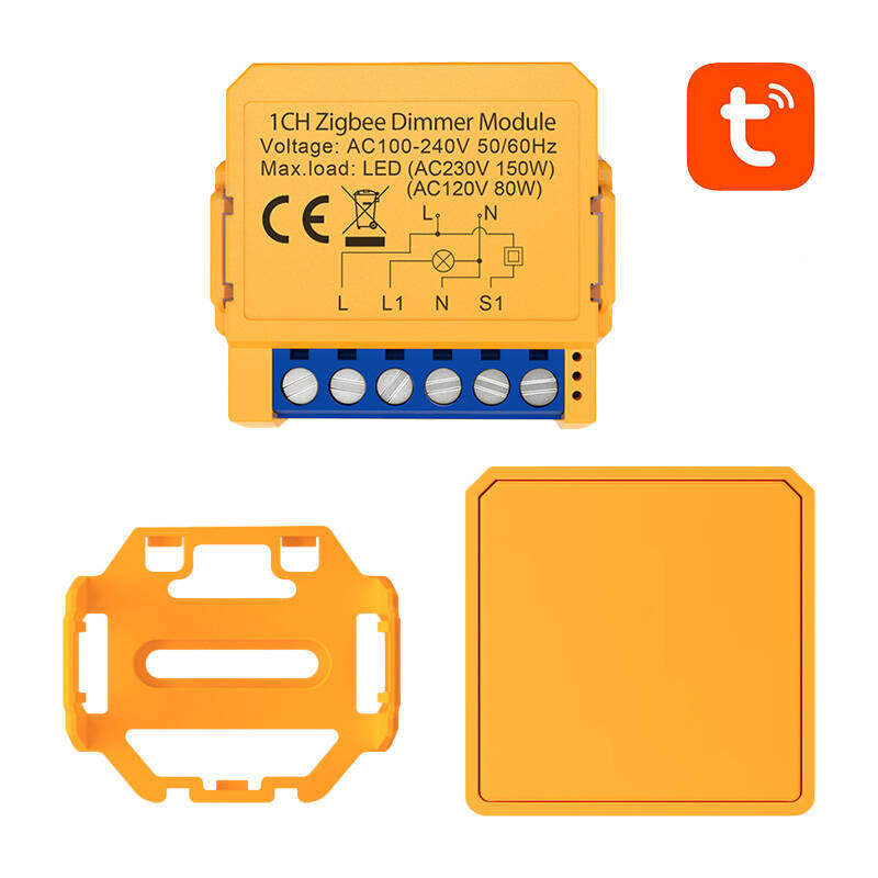 Smart socket switch ZigBee Avatto ZDMS16-1 TUYA