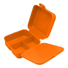 Lunchbox with compartments...