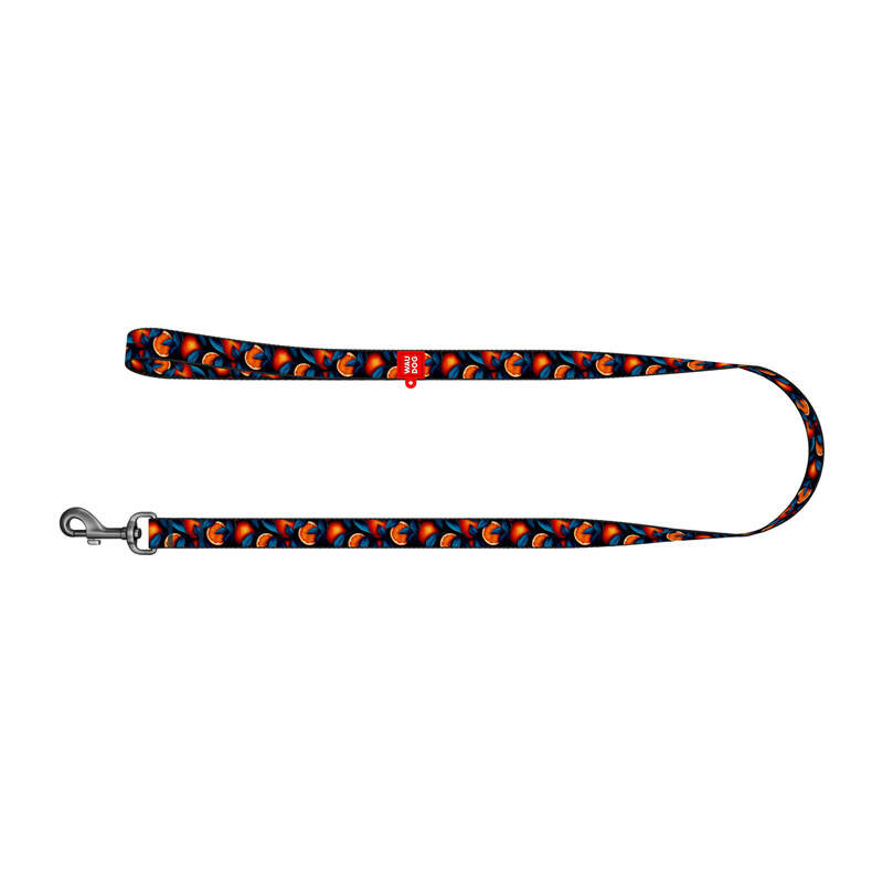 Nylon dog leash, pattern ''Oranges'' length 122 cm Waudog