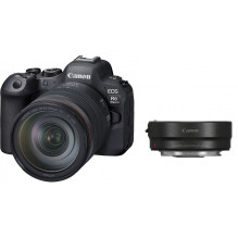 Canon EOS R6 Mark II + RF 24-105mm f/ 4L IS USM + Mount Adapter EF-EOS R