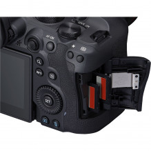 Canon EOS R6 Mark II + RF 24-105mm f/ 4L IS USM + Mount Adapter EF-EOS R