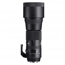 Sigma 150-600mm F5-6.3 DG OS HSM | C + TC-1401 1.4X TELECONVERTER | Nikon F mount