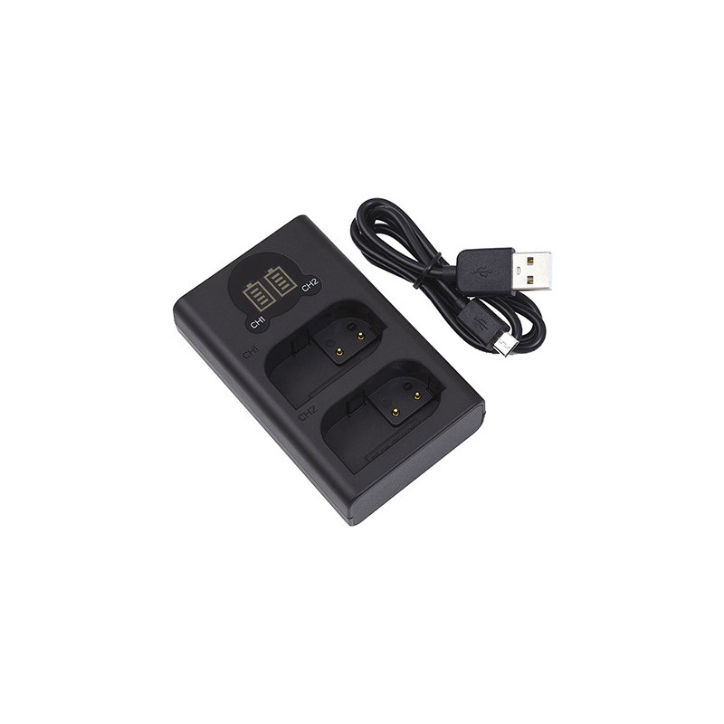 Charger PANASONIC DMW-BLK22, Dual