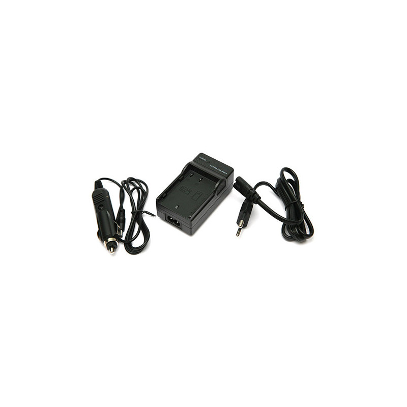 Charger PANASONIC DMW-BLF19