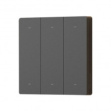 Smart Scene Wall Switch Sonoff R5