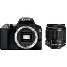 Canon EOS 250D + EF-S 18-55mm IS II