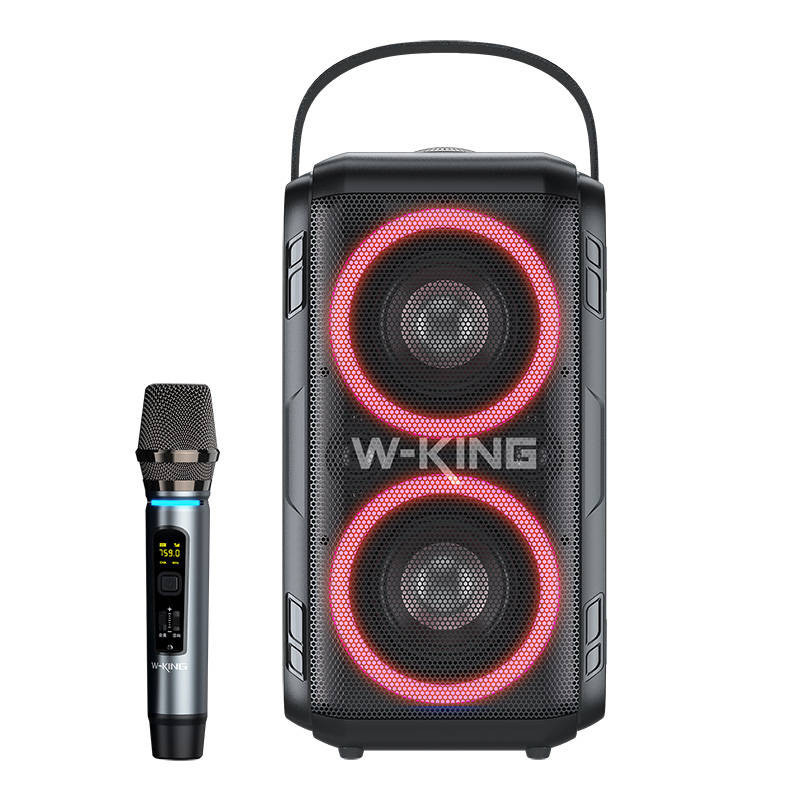 Wireless Bluetooth Speaker W-KING T9 60W (black)