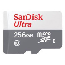 MEMORY MICRO SDXC 256GB...