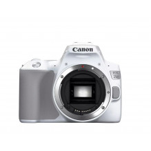 Canon EOS 250D Body (White)