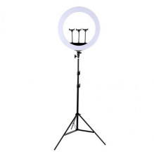 LED Ring Lamp 45cm With Desktop Tripod Mount Up To 2.1m