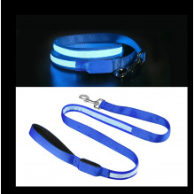 LED illuminated leash for pets