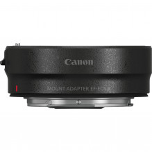 Canon EOS R8 + RF 800mm f/...