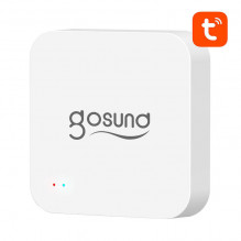 Išmanusis „Bluetooth BLE“, „WiFi Mesh Gateway“ su aliarmu „Gosund G2“.