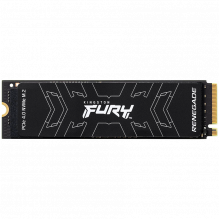 Kingston 2000G Fury...