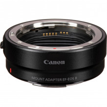 Canon EOS R8 + RF 24-240mm f/ 4-6.3 IS USM + Mount Adapter EF-EOS R