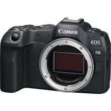Canon EOS R8 + RF 24-240mm f/ 4-6.3 IS USM + Mount Adapter EF-EOS R