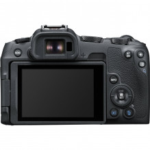 Canon EOS R8 + RF 24-240mm f/ 4-6.3 IS USM + Mount Adapter EF-EOS R