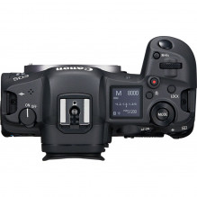 Canon EOS R5 + RF 24-240mm f/ 4-6.3 IS USM + Mount Adapter EF-EOS R