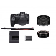 Canon EOS R8 + RF 50mm F1.8 STM + Mount Adapter EF-EOS R