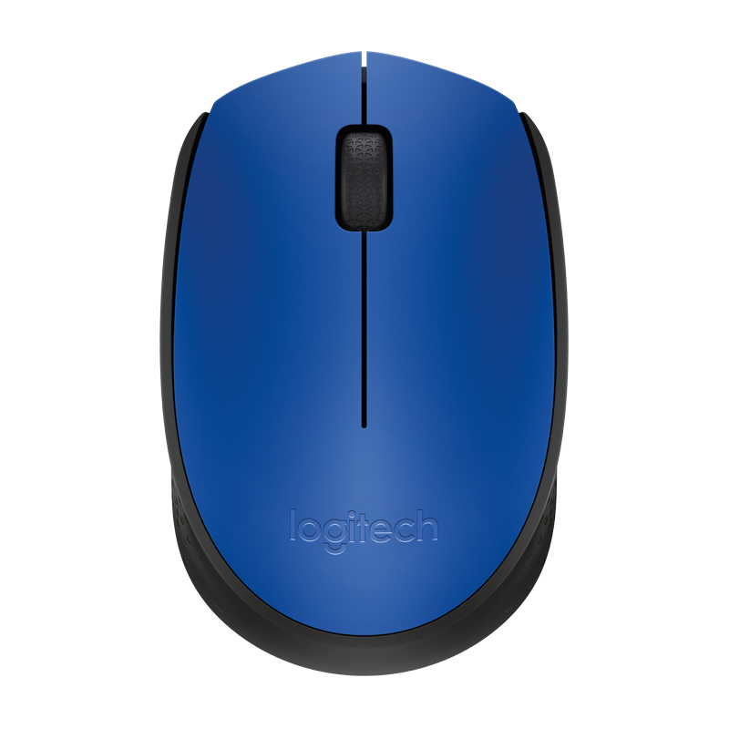 mouse m171