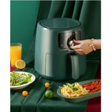 Sponge Air Fryer 6L