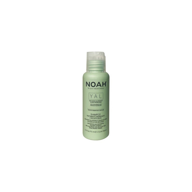 YAL Rehydrating & Restorative Treatment Shampoo Atkuriamasis drėkinantis šampūnas su hialurono rūgštimi ir šalaviju, 75m