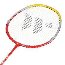 Wish Alumtec 366K badminton racquet set