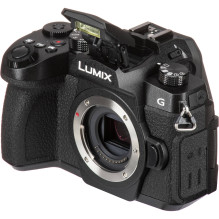 Panasonic Lumix G95D (90/ 91/ 99) + Panasonic LUMIX G Vario 12-60mm f/ 3.5-5.6 Asph. Power O.I.S (H-FS12060) (Black)