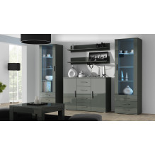 Cama display cabinet SOHO S1 grey / grey gloss