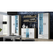 Cama display cabinet SOHO S6 2D2S sonoma oak / white gloss