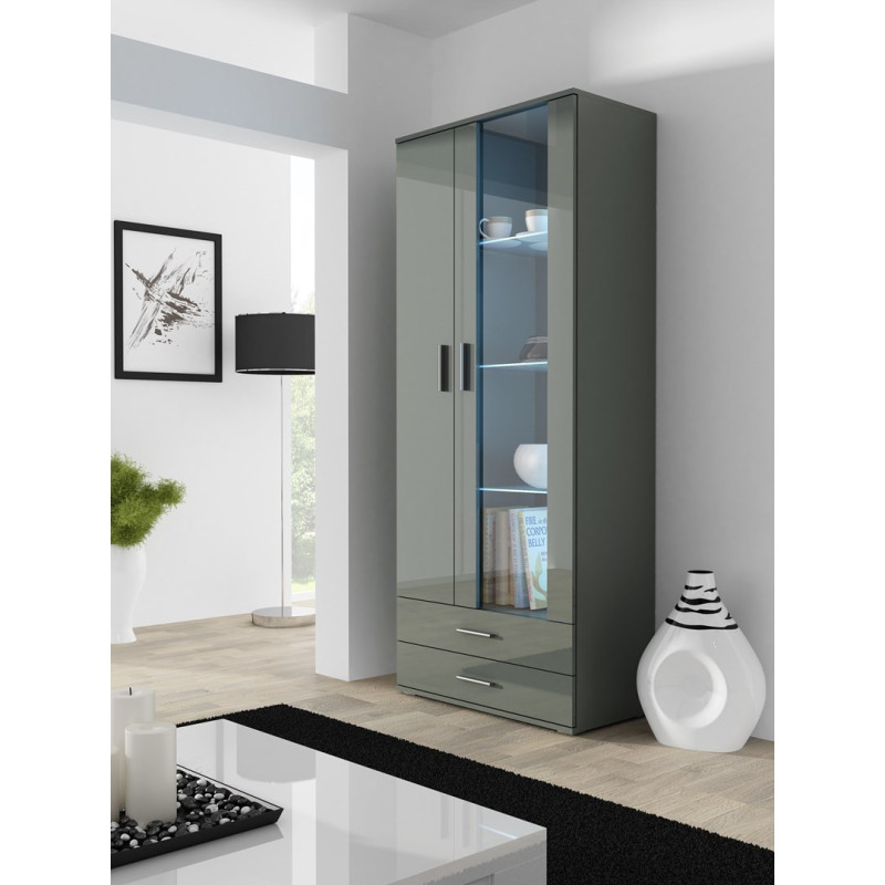 Cama display cabinet SOHO S6 2D2S grey / grey gloss