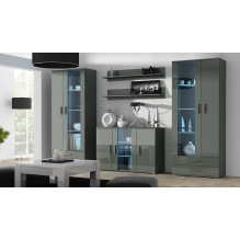 Cama display cabinet SOHO S6 2D2S grey / grey gloss