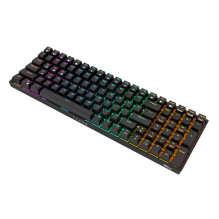 Wireless mechanical keyboard Royal Kludge RK100 RGB, Brown switch (black)