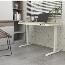 Tuckano Electric height adjustable desk ET119W-C white / oak