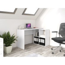 Topeshop PLUS 2X2 BIEL computer desk White