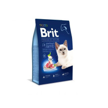 BRIT Premium iš prigimties...