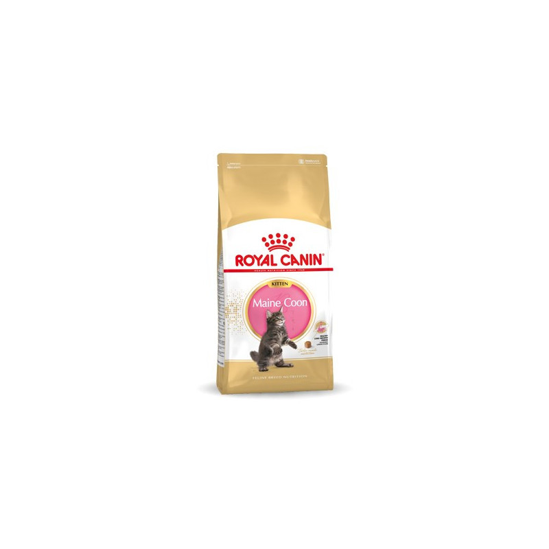 Royal Canin Maine Coon Kitten dry cat food 10 kg