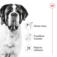 ROYAL CANIN Giant Adult - sausas šunų maistas - 15 kg