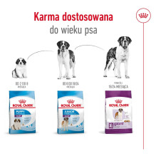 ROYAL CANIN Giant Adult - sausas šunų maistas - 15 kg