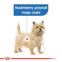 Royal Canin CCN MINI LIGHT WEIGHT CARE - sausas maistas suaugusiems šunims - 3kg