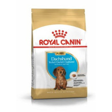 Maistas Royal Canin SHN Veislė Taksas Jun 1,5 kg