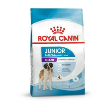 Royal Canin Giant Junior Puppy 15 kg