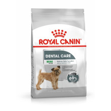 ROYAL CANIN CCN Mini Dental Care - dry food for adult dogs - 3kg