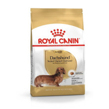 ROYAL CANIN Dachshund Adult - sausas šunų maistas - 1,5 kg